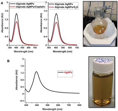 Alginate-based hydrogel platform embedding silver nanoparticles and cisplatin: characterization of the synergistic effect on a breast cancer cell line